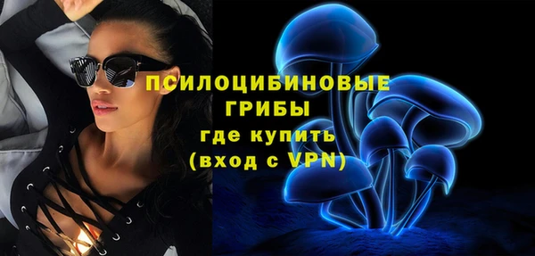 стафф Арсеньев