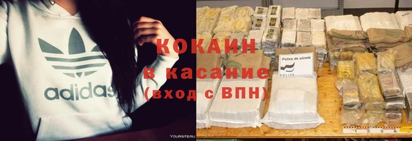 стафф Арсеньев