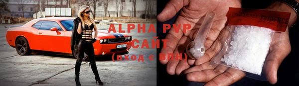 стафф Арсеньев