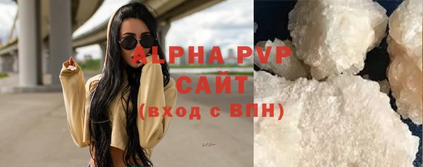 стафф Арсеньев