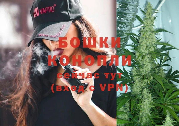 стафф Арсеньев
