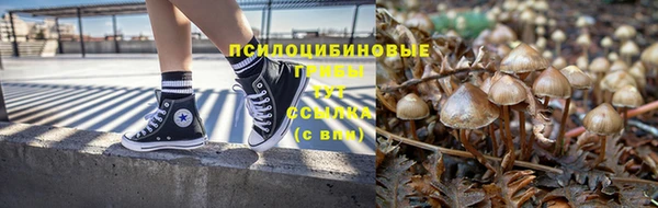 стафф Арсеньев