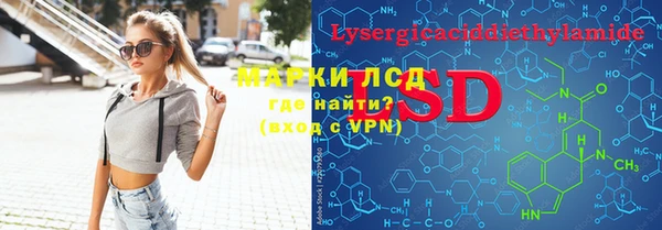 стафф Арсеньев